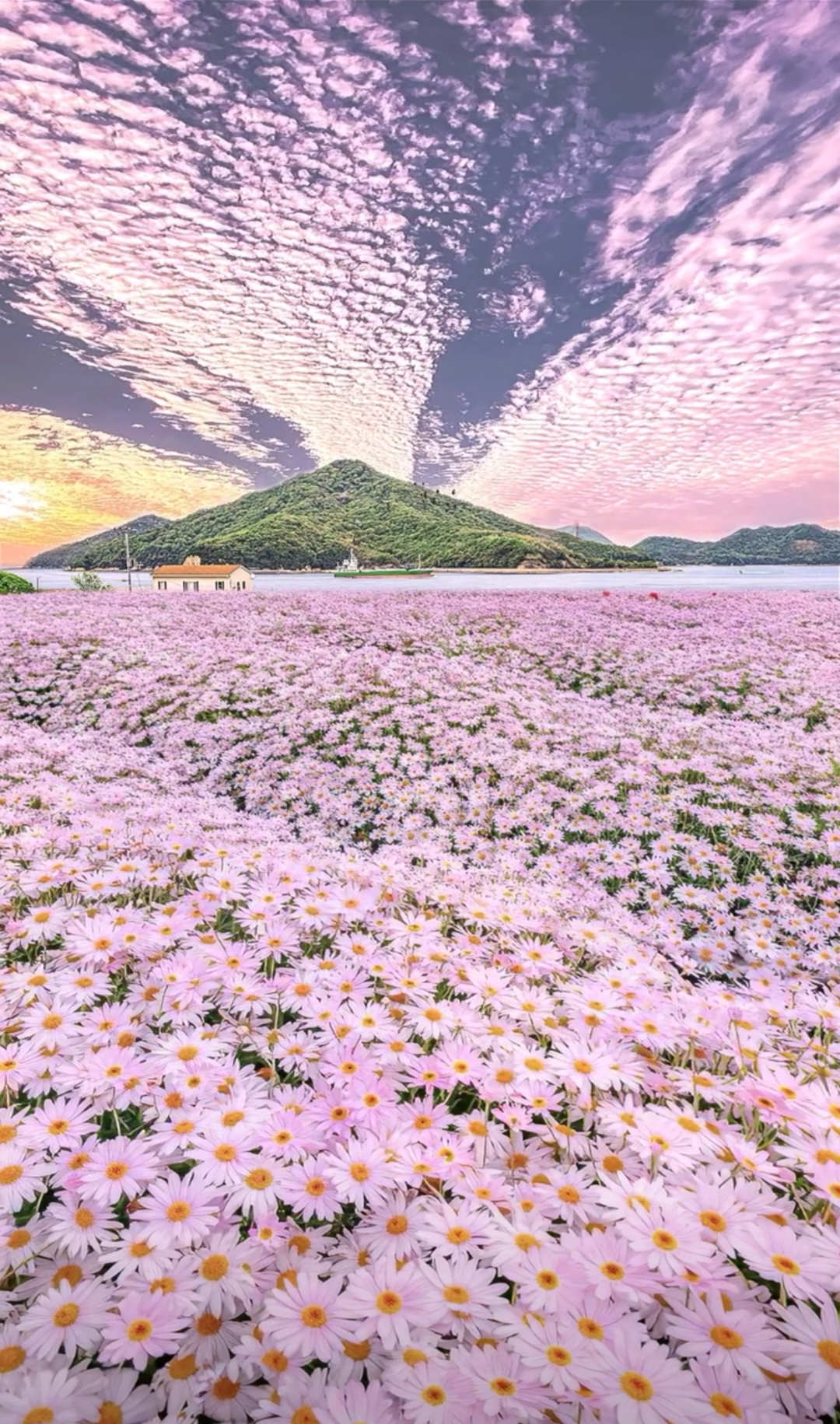 AI-generated image - generated using @undefined - powered by undefined