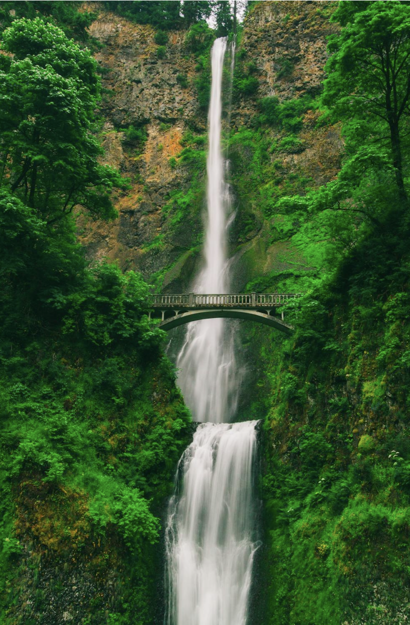 AI-generated image - generated using @undefined - powered by undefined